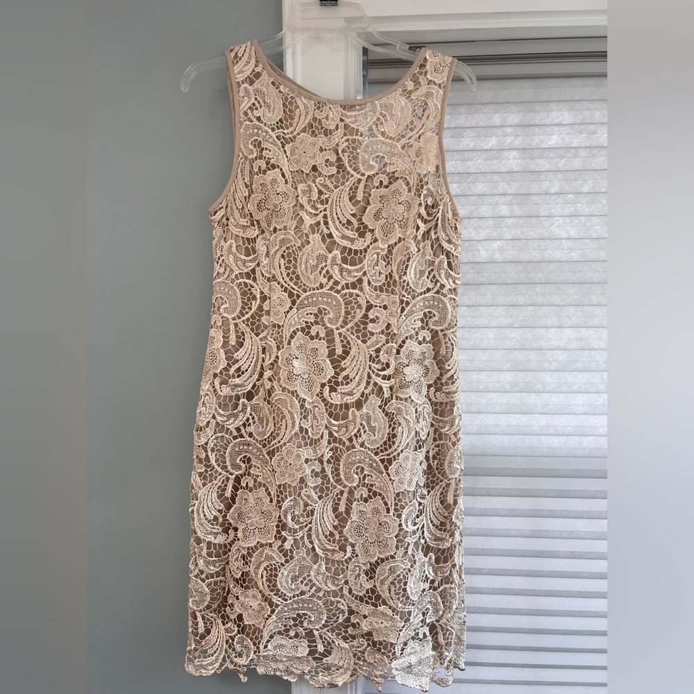 Cache Nude Beige Lace Sheath Cocktail Dress Size 10